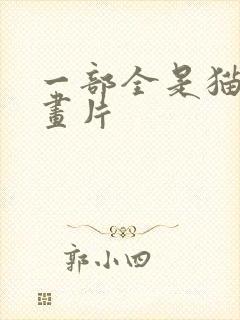一部全是猫的动画片