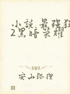 小说 最强狂兵2黑暗荣耀