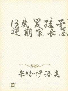 13岁男孩子叛逆期家长怎么做