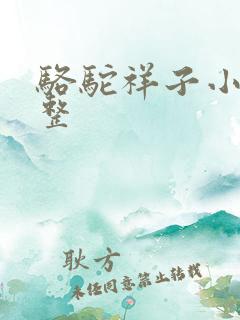骆驼祥子小说完整