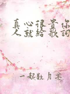 真心很贵你别逢人就给歌词完整版