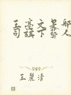 王亭文是哪个公司旗下艺人