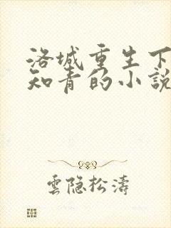 洛城重生下乡当知青的小说叫什么