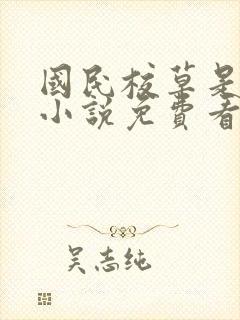 国民校草是女生小说免费看
