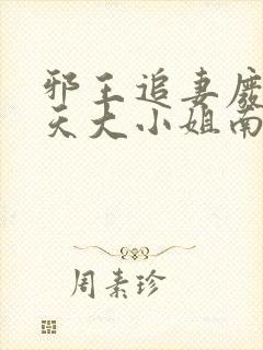 邪王追妻废材逆天大小姐南宫流云
