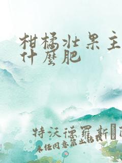 柑橘壮果主要用什么肥