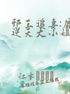 邪王追妻:废材逆天大小姐