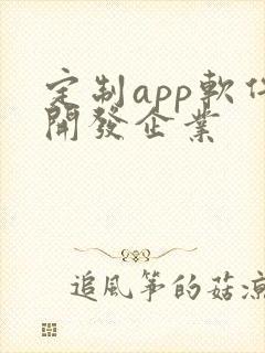 定制app软件开发企业