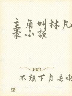 主角叫林凡的神豪小说