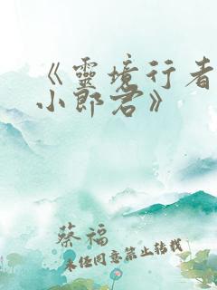 《灵境行者卖报小郎君》