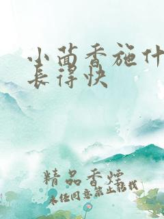小茴香施什么肥长得快