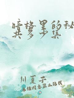 暗格里的秘密一共多少集