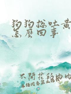 狗狗总吐黄水是怎么回事