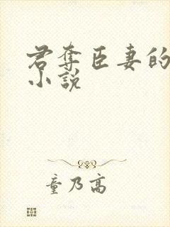 君夺臣妻的古言小说