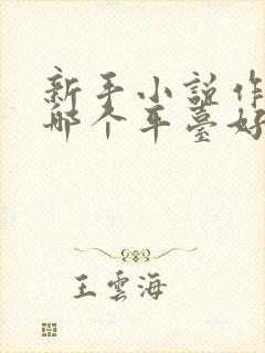 新手小说作者去哪个平台好