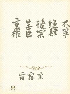 重生后绝不嫁给权臣宗肆宁芙小说