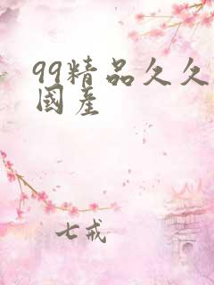 99精品久久久国产