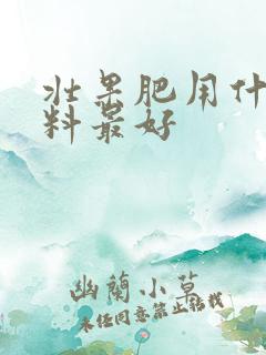 壮果肥用什么肥料最好