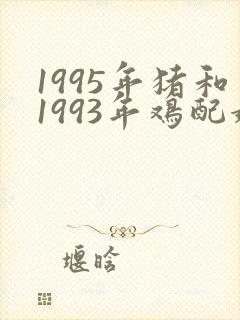 1995年猪和1993年鸡配婚姻吗