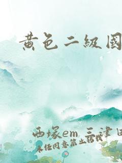 黄色二级国产片