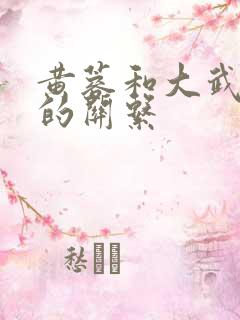 黄蓉和大武小武的关系