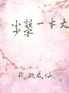 小说一本大概多少字