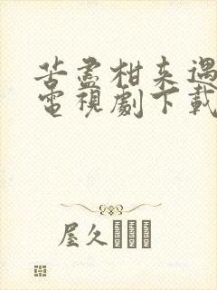 苦尽柑来遇见你电视剧下载免费观看