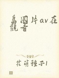 岛国片av在线观看