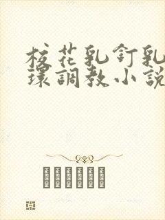 校花乳钉乳环蒂环调教小说