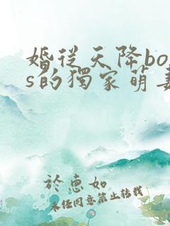 婚从天降boss的独家萌妻免费阅读