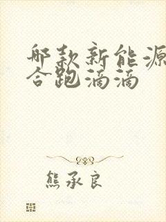 哪款新能源车适合跑滴滴