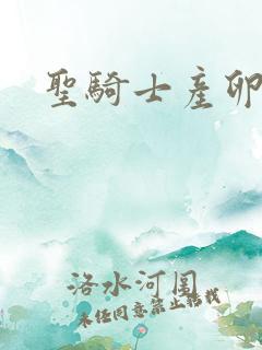 圣骑士产卵记