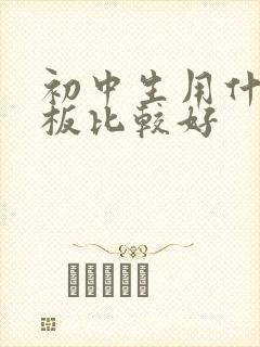 初中生用什么平板比较好