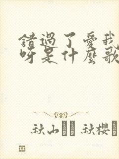 错过了爱我的人呀是什么歌