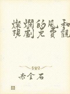 灿烂的风和海电视剧免费观看