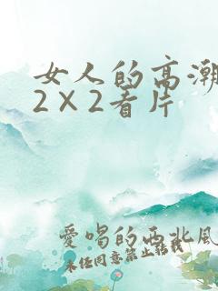 女人的高潮毛片2×2看片