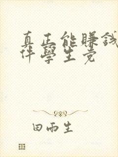真正能赚钱的软件学生党