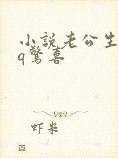 小说老公生日3q惊喜