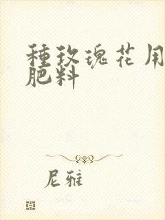 种玫瑰花用什么肥料