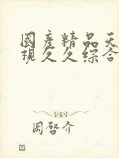 国产精品天天影视久久综合