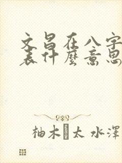 文昌在八字中代表什么意思呢女命