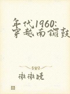 年代1960:穿越南锣鼓巷,小说