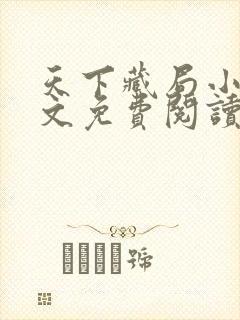 天下藏局小说全文免费阅读下载