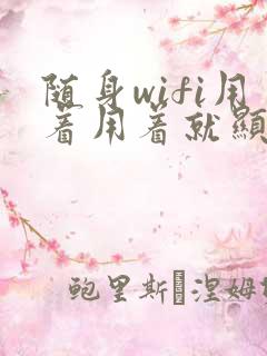 随身wifi用着用着就显示不可以上网