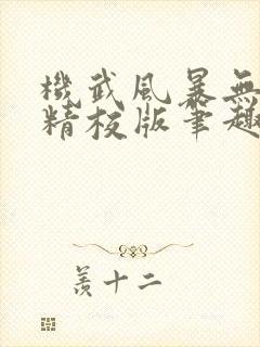 机武风暴无错字精校版笔趣阁