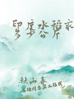 印度水稻亩产量多少公斤