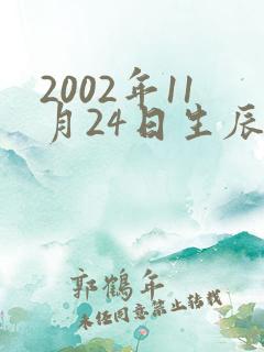 2002年11月24日生辰八字算命