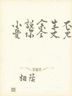 小说余生不要再爱你全文免费阅读