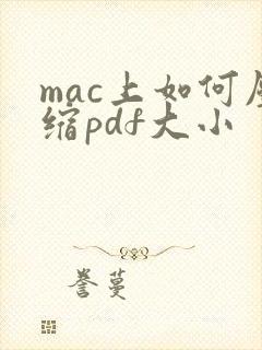 mac上如何压缩pdf大小
