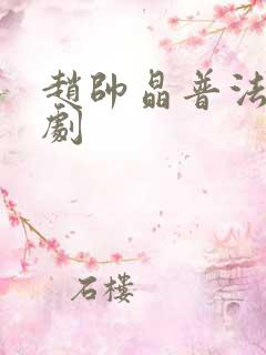 赵帅晶普法栏目剧